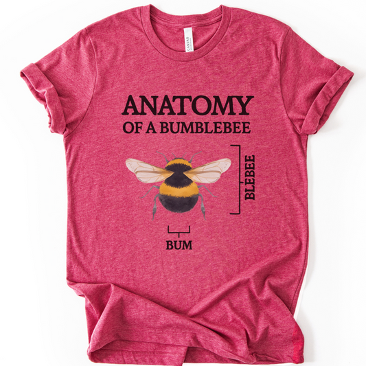 Anatomy Of A Bumblebee - Bella Canvas Super Soft Fitted T Shirt