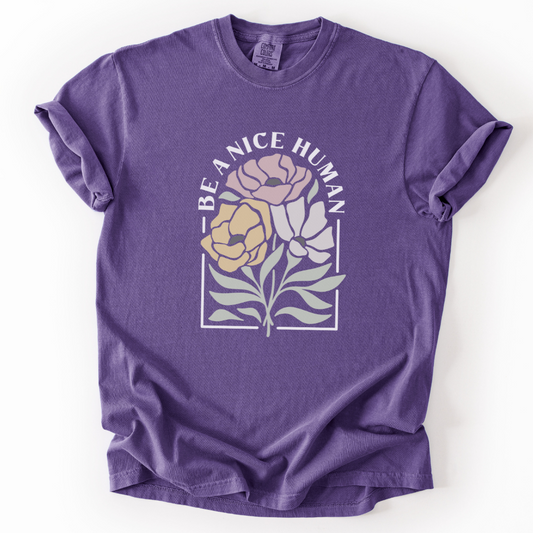Be A Nice Human -  Comfort Colors Relaxed Fit Premium T Shirt