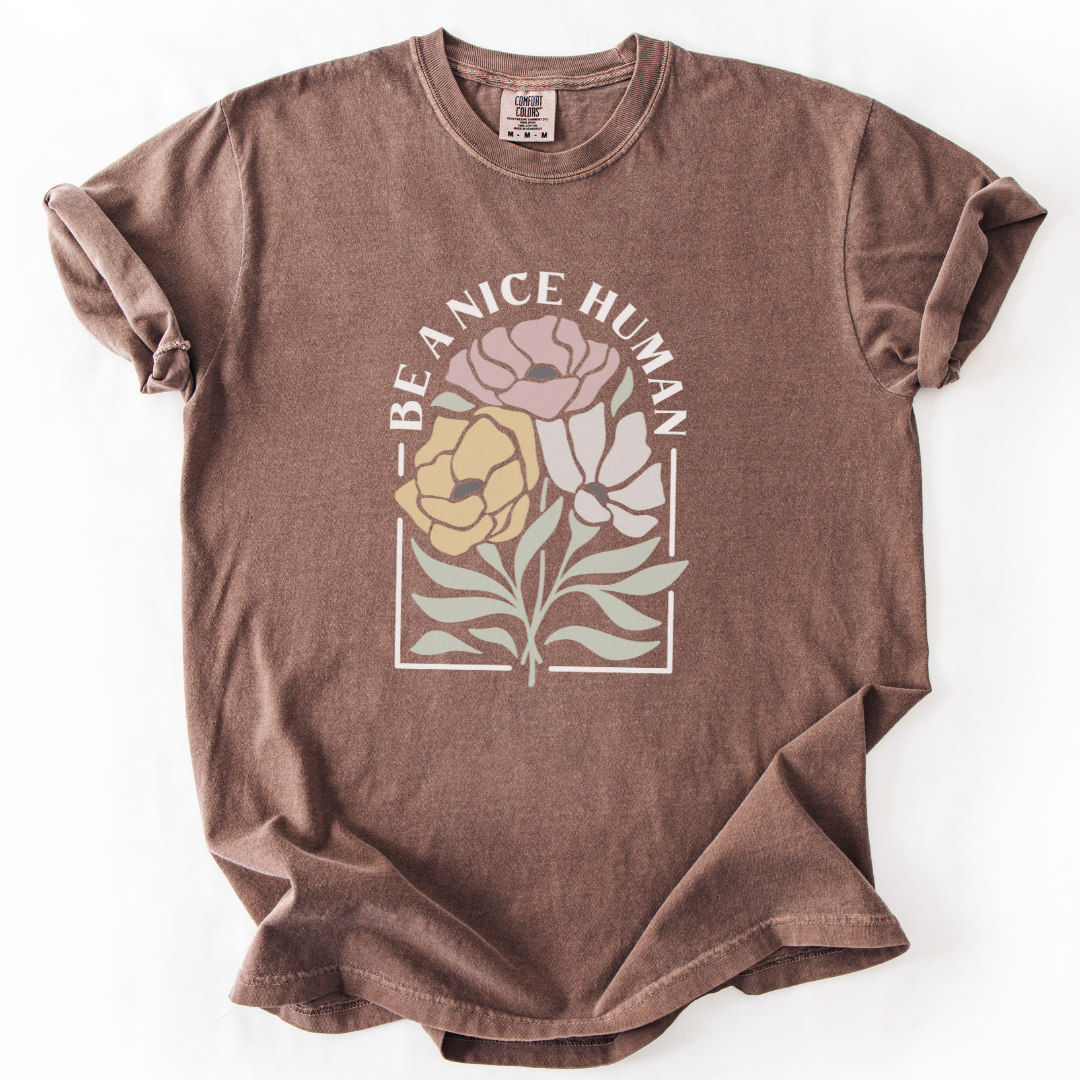 Be A Nice Human -  Comfort Colors Relaxed Fit Premium T Shirt