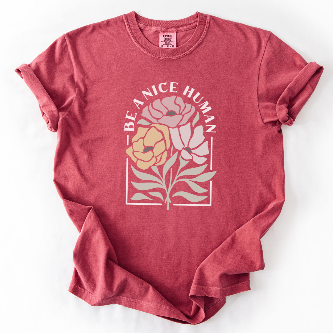 Be A Nice Human -  Comfort Colors Relaxed Fit Premium T Shirt