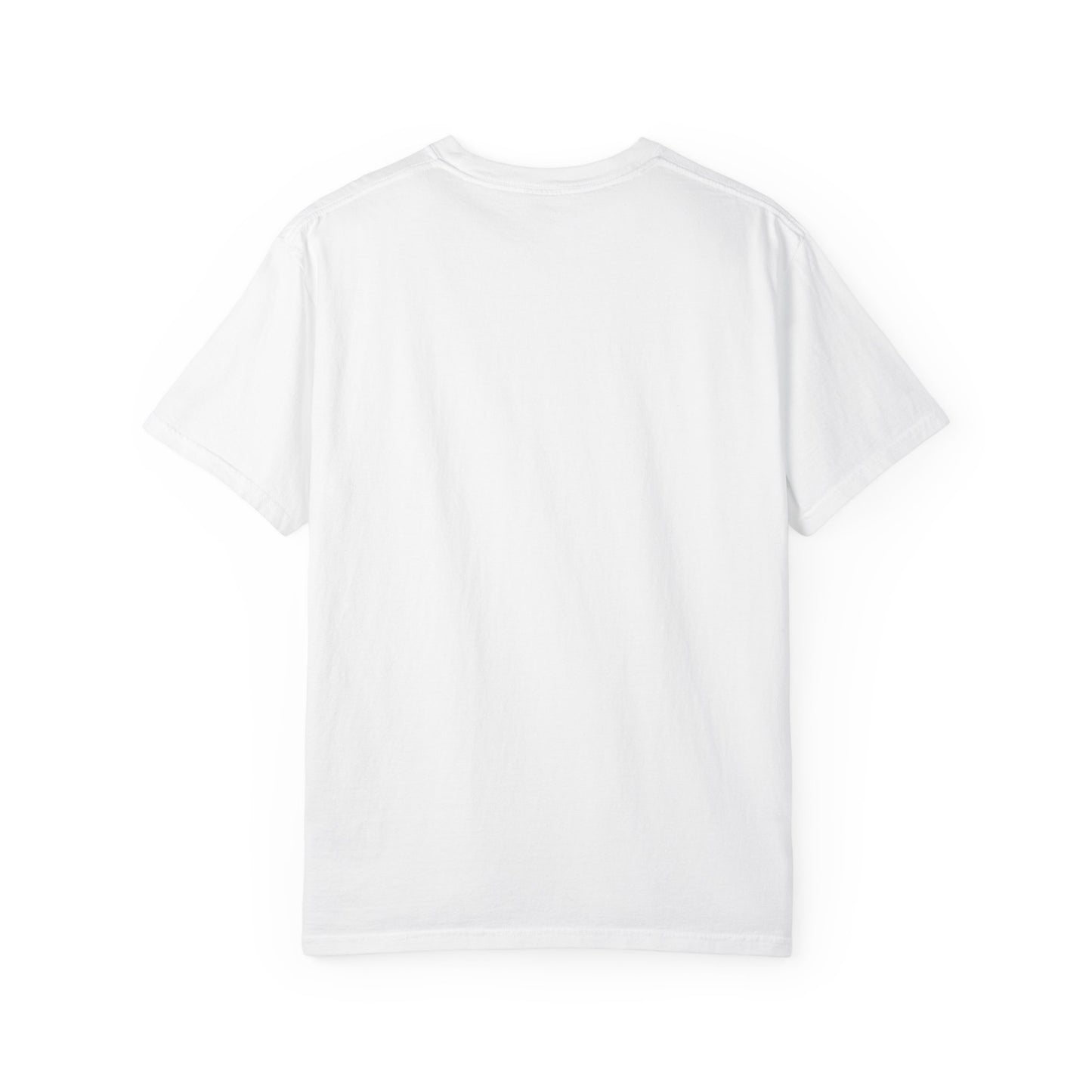 Reject Humanity -  Relaxed Fit Vintage Wash T Shirt