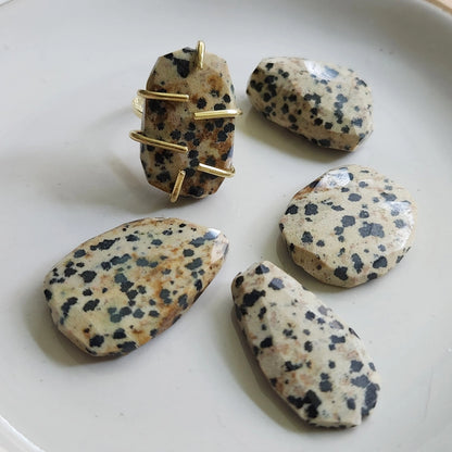 Grounding Dalmatian Jasper and Brass Hoop Earrings and Ring