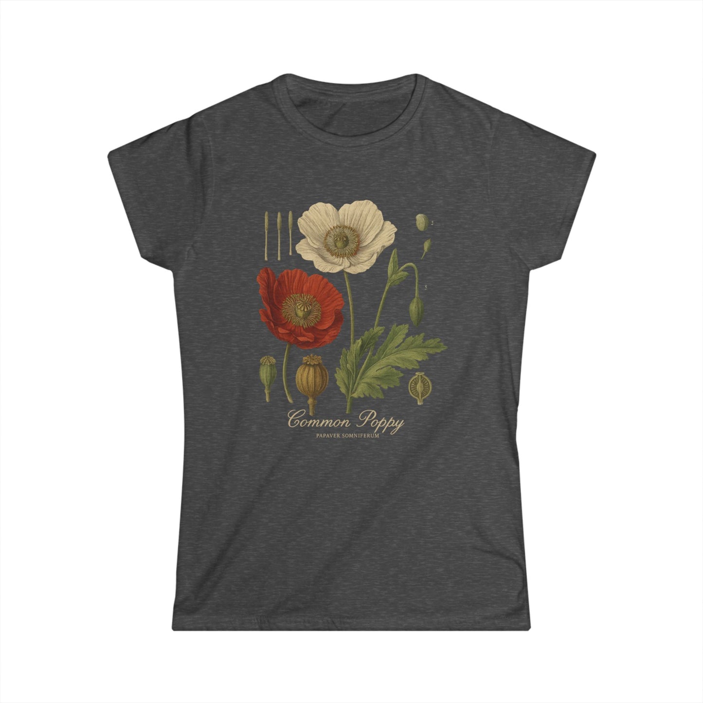 Common Poppy - Women's Softstyle Tee
