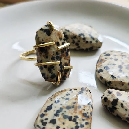 Grounding Dalmatian Jasper and Brass Hoop Earrings and Ring