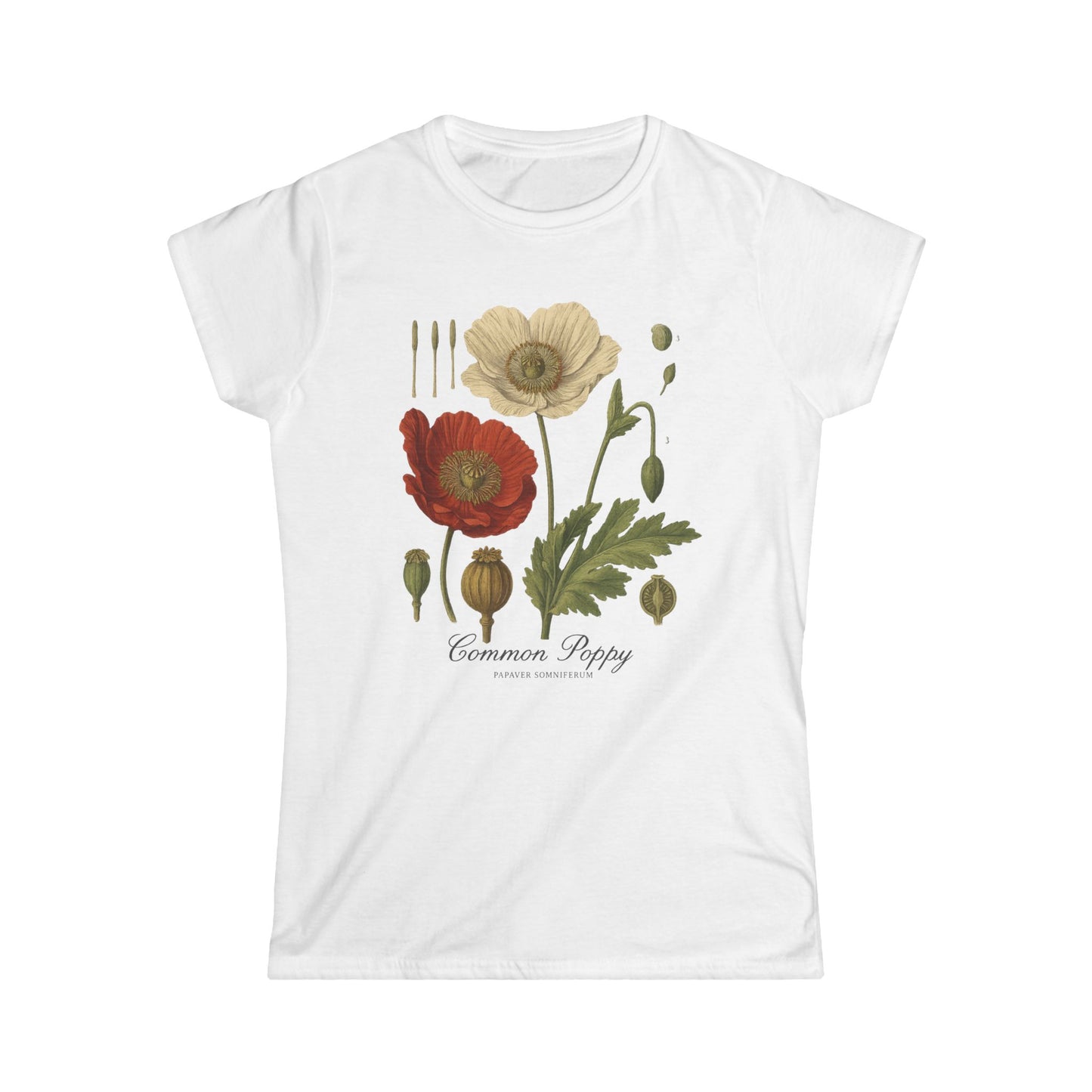 Common Poppy - Women's Softstyle Tee