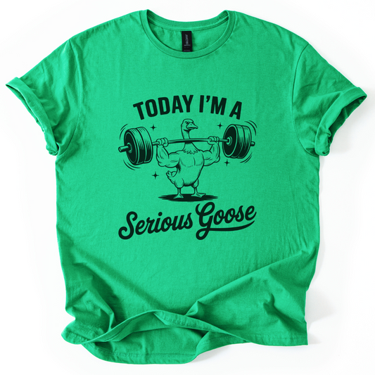 Today I'm A Serious Goose