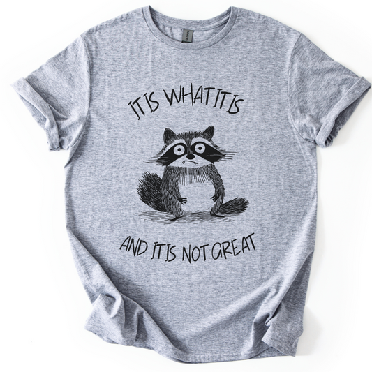 It Is What It Is, And It Is Not Great