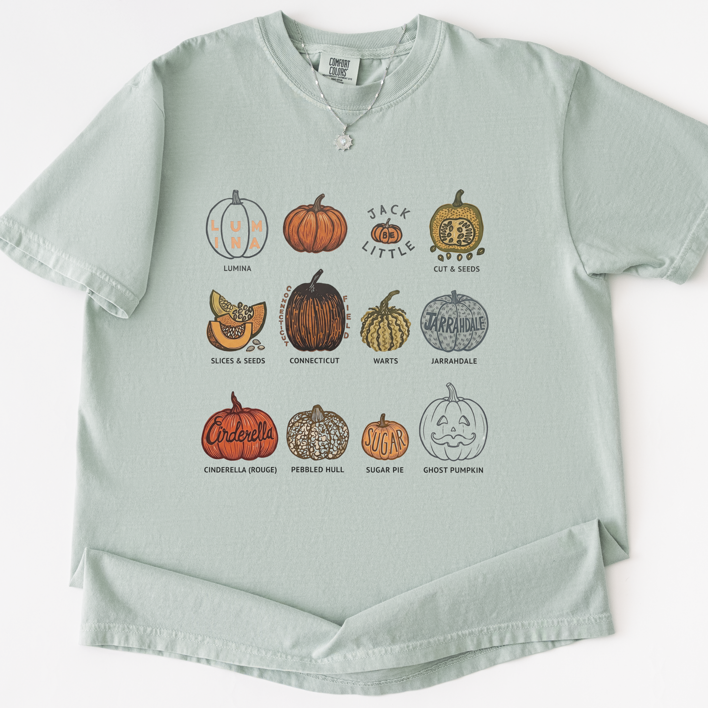 Pumpkin Patch -  Comfort Colors Relaxed Fit Premium T Shirt