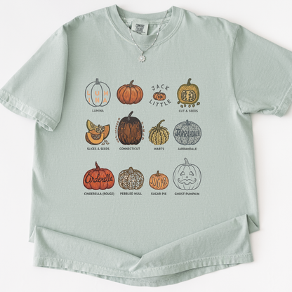 Pumpkin Patch -  Comfort Colors Relaxed Fit Premium T Shirt