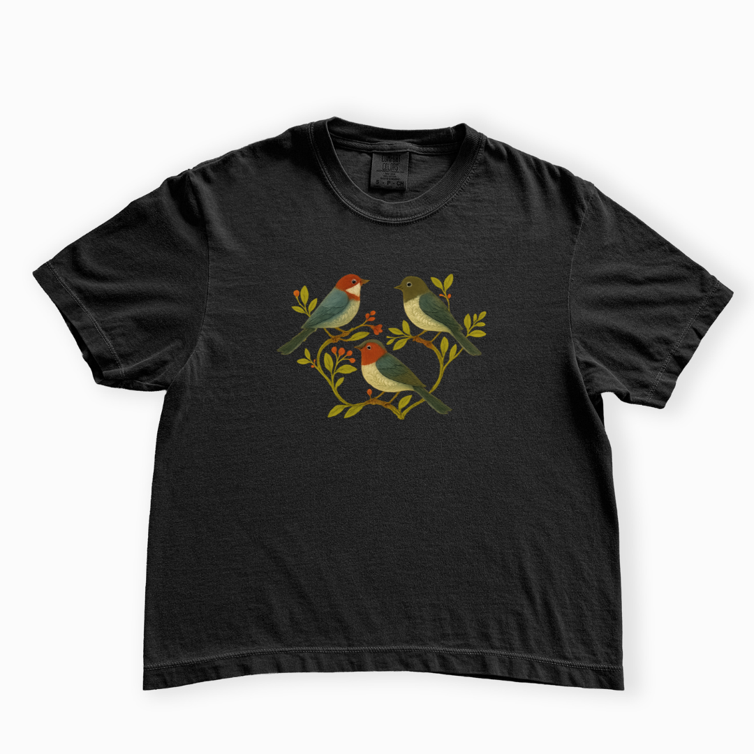 Garden Chorus - Comfort Colors Boxy Cropped Tee