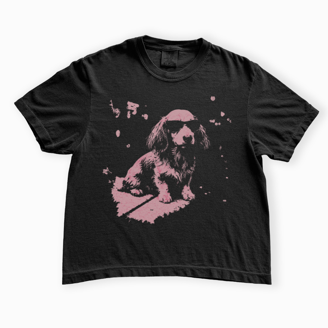 Street Dawg - Comfort Colors Boxy Cropped Tee