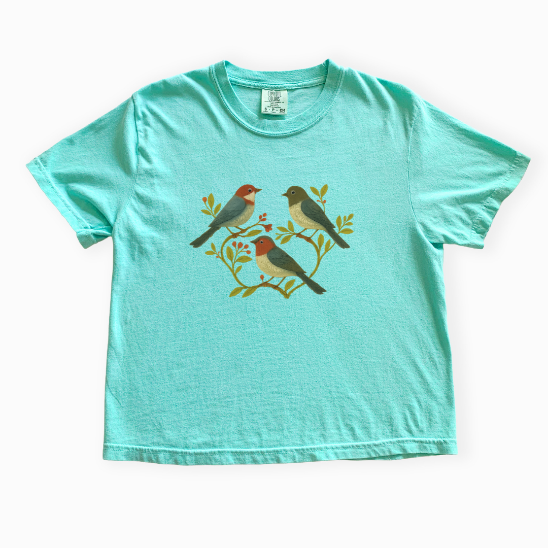 Garden Chorus - Comfort Colors Boxy Cropped Tee