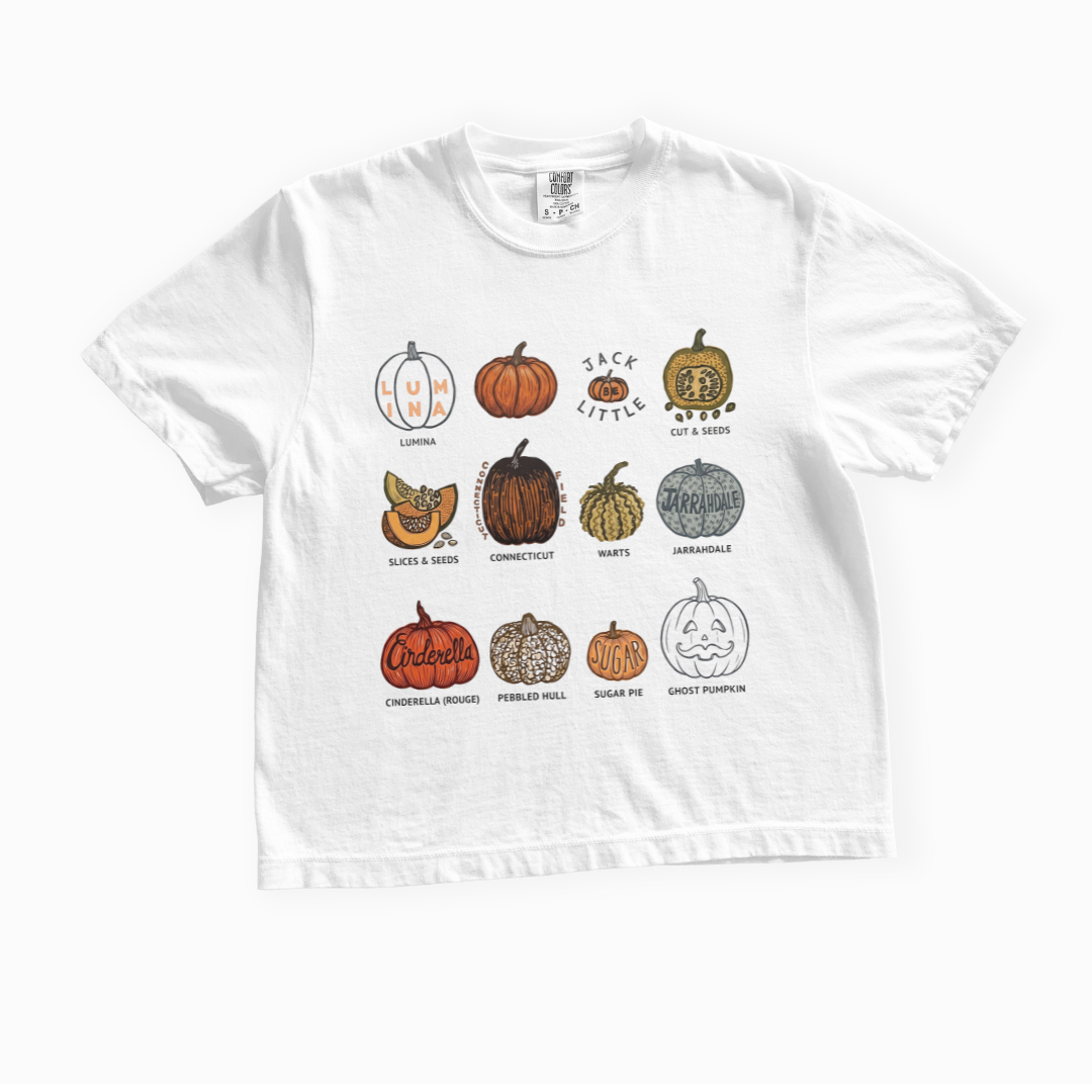 Pumpkin Patch - Comfort Colors Boxy Cropped Tee
