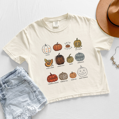 Pumpkin Patch - Comfort Colors Boxy Cropped Tee