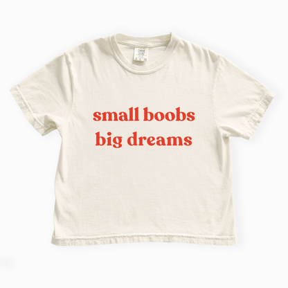 Small Boobs Big Dreams - Comfort Colors Boxy Cropped Tee