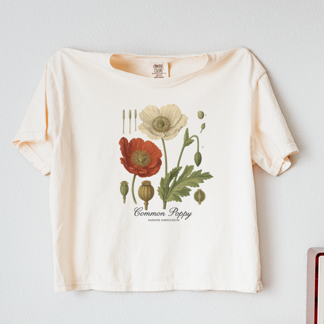 Common Poppy - Comfort Colors Boxy Cropped Tee