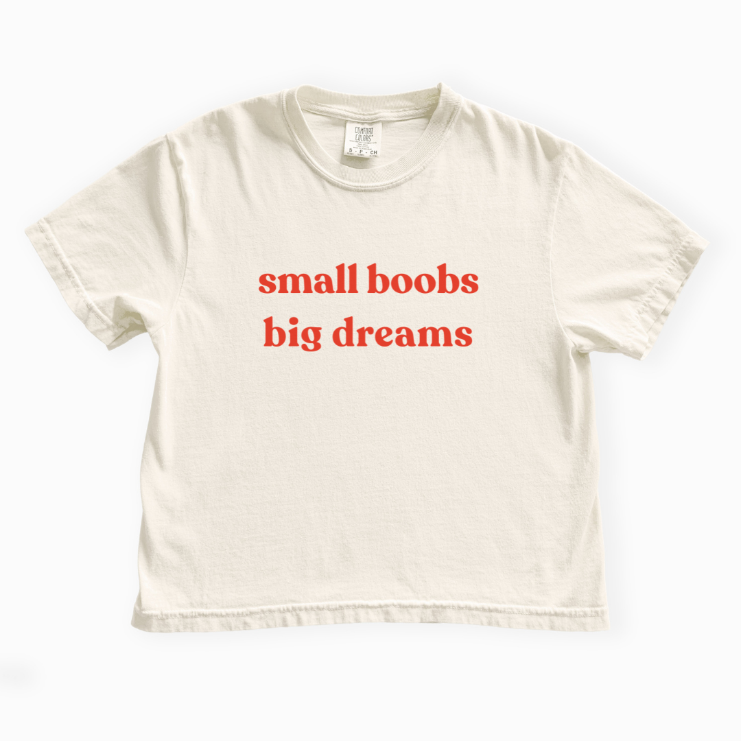 Small Boobs Big Dreams - Comfort Colors Boxy Cropped Tee
