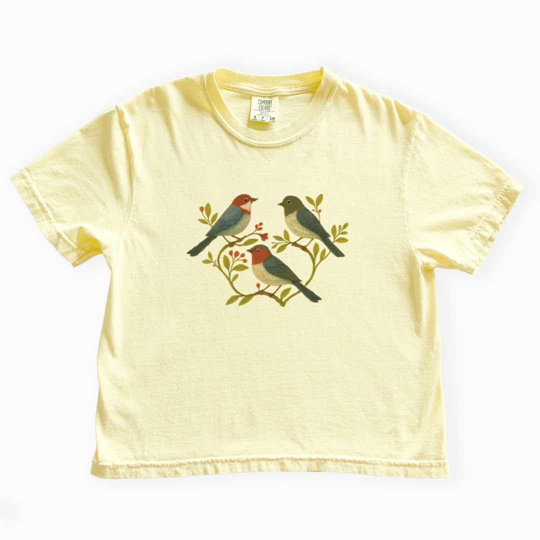 Garden Chorus - Comfort Colors Boxy Cropped Tee