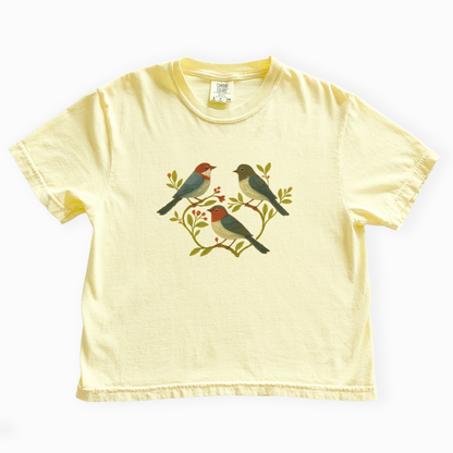 Garden Chorus - Comfort Colors Boxy Cropped Tee