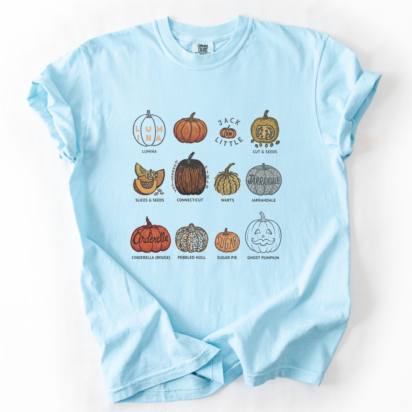 Pumpkin Patch -  Comfort Colors Relaxed Fit Premium T Shirt