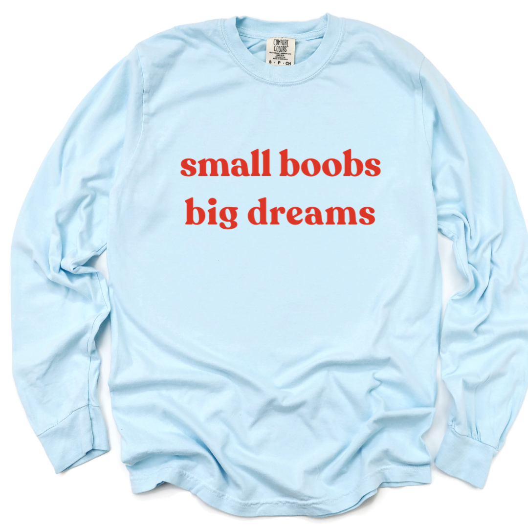 Small Boobs Big Dreams - Comfort Colors Long Sleeve Premium T Shirt