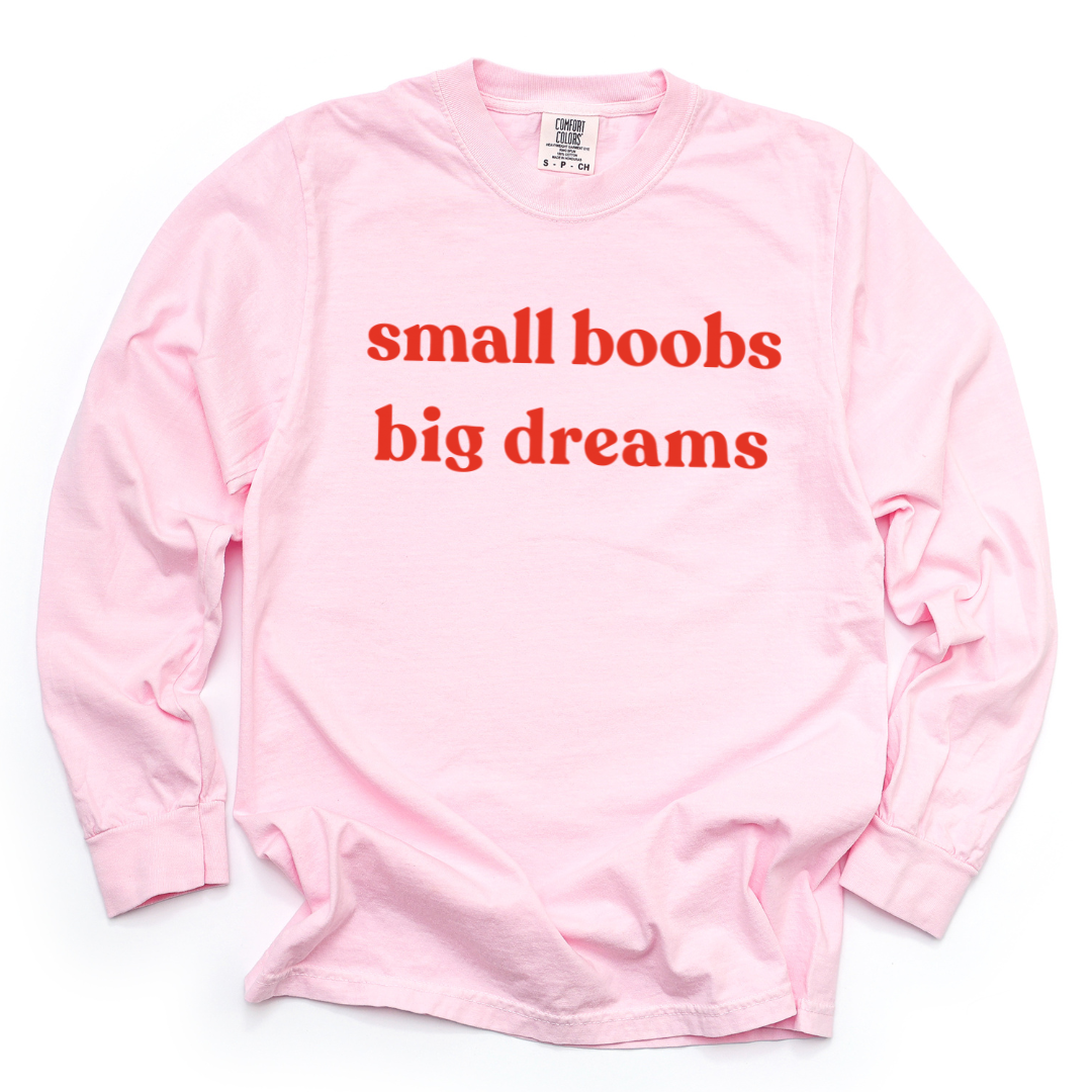 Small Boobs Big Dreams - Comfort Colors Long Sleeve Premium T Shirt
