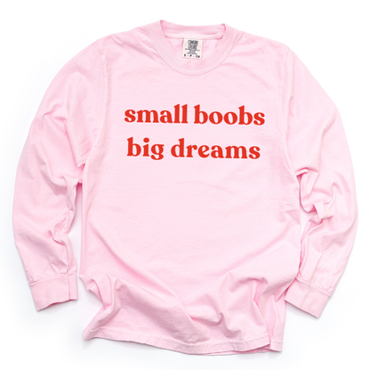 Small Boobs Big Dreams - Comfort Colors Long Sleeve Premium T Shirt