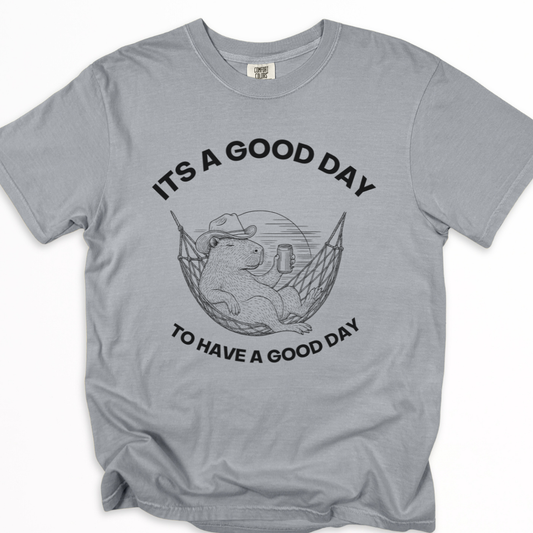 It's A Good Day To Have A Good Day - Comfort Colors Relaxed Fit Premium T Shirt