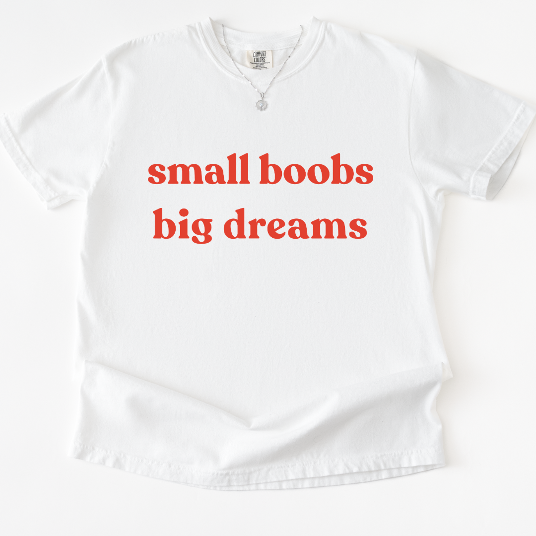 Small Boobs Big Dreams -  Relaxed Fit Vintage Wash T Shirt