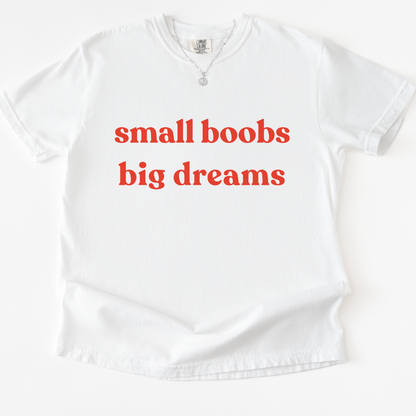 Small Boobs Big Dreams -  Relaxed Fit Vintage Wash T Shirt