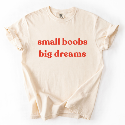 Small Boobs Big Dreams -  Relaxed Fit Vintage Wash T Shirt