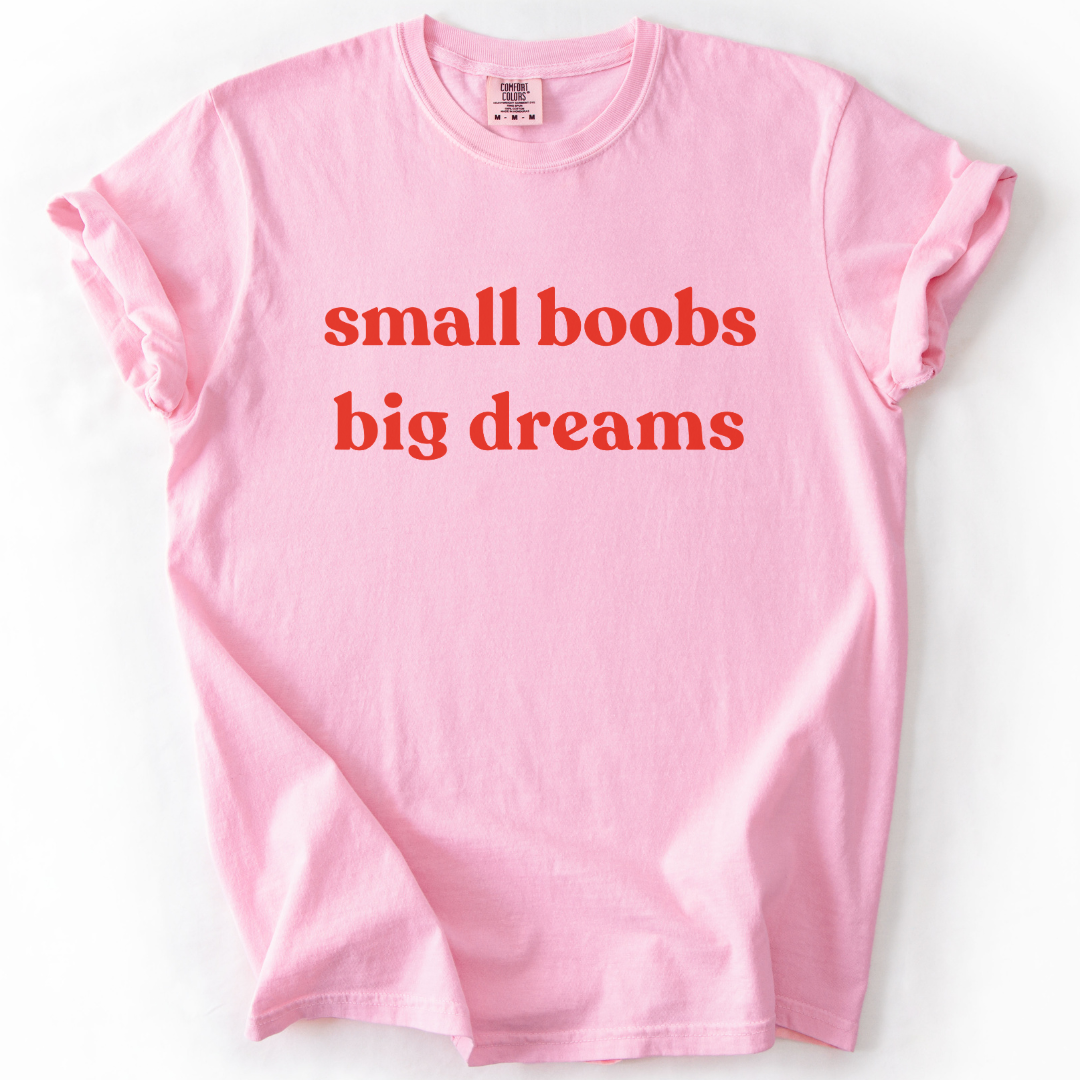 Small Boobs Big Dreams -  Relaxed Fit Vintage Wash T Shirt