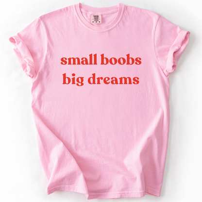 Small Boobs Big Dreams -  Relaxed Fit Vintage Wash T Shirt
