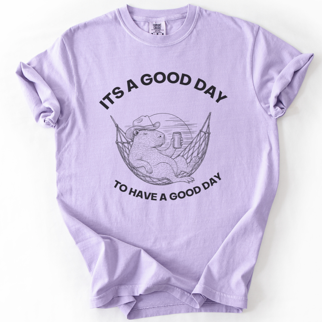 It's A Good Day To Have A Good Day - Comfort Colors Relaxed Fit Premium T Shirt