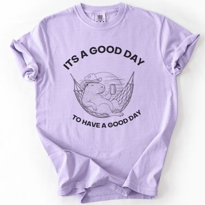 It's A Good Day To Have A Good Day - Comfort Colors Relaxed Fit Premium T Shirt