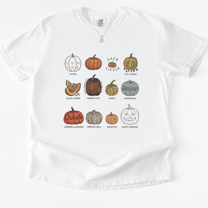 Pumpkin Patch -  Comfort Colors Relaxed Fit Premium T Shirt