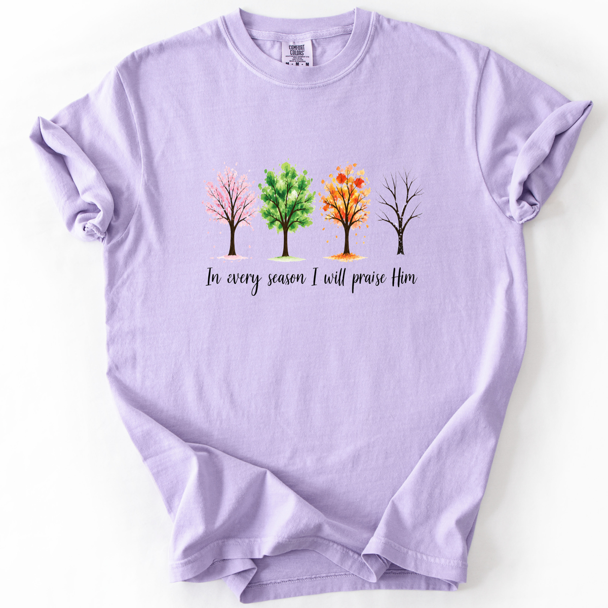 In Every Season I Will Praise Him - Comfort Colors Relaxed Fit Premium T Shirt