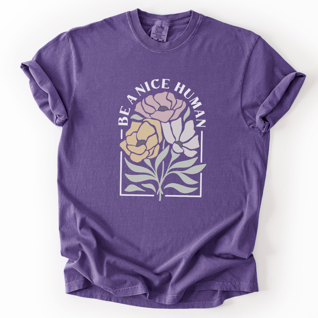 Be A Nice Human -  Comfort Colors Relaxed Fit Premium T Shirt