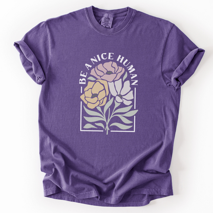 Be A Nice Human -  Comfort Colors Relaxed Fit Premium T Shirt
