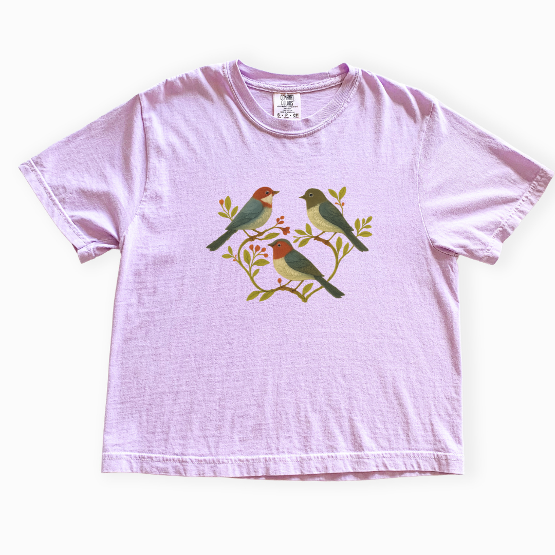 Garden Chorus - Comfort Colors Boxy Cropped Tee