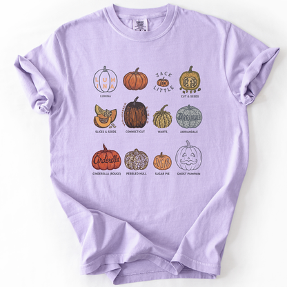 Pumpkin Patch -  Comfort Colors Relaxed Fit Premium T Shirt