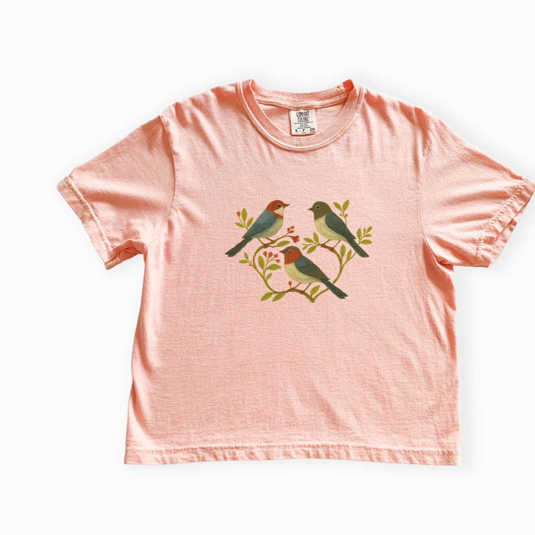 Garden Chorus - Comfort Colors Boxy Cropped Tee