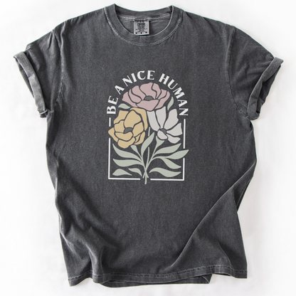 Be A Nice Human -  Comfort Colors Relaxed Fit Premium T Shirt
