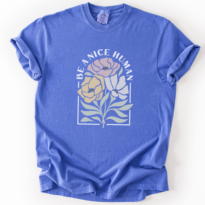 Be A Nice Human -  Comfort Colors Relaxed Fit Premium T Shirt