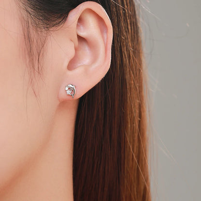Cute Dolphin Stud Earrings Fine Clear Zircon