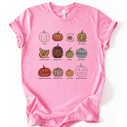 Pumpkin Patch - Bella Canvas Super Soft Straight Cut T shirt