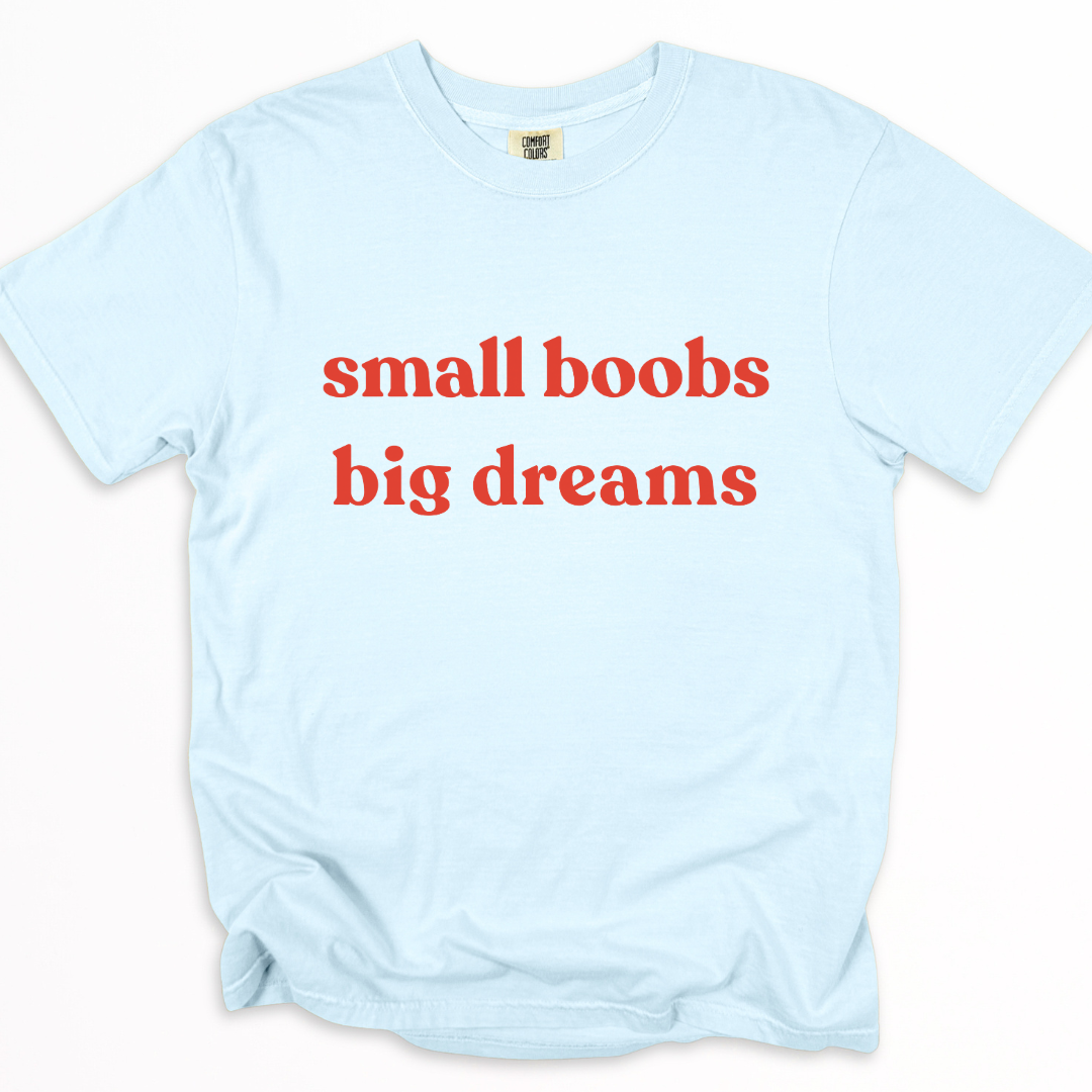 Small Boobs Big Dreams -  Relaxed Fit Vintage Wash T Shirt