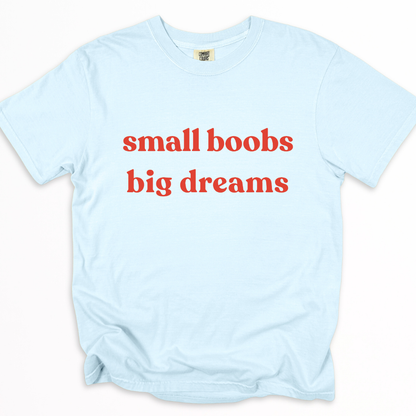 Small Boobs Big Dreams -  Relaxed Fit Vintage Wash T Shirt