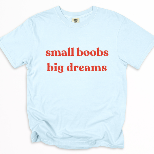 Small Boobs Big Dreams -  Relaxed Fit Vintage Wash T Shirt