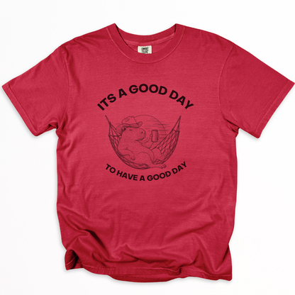 It's A Good Day To Have A Good Day - Comfort Colors Relaxed Fit Premium T Shirt